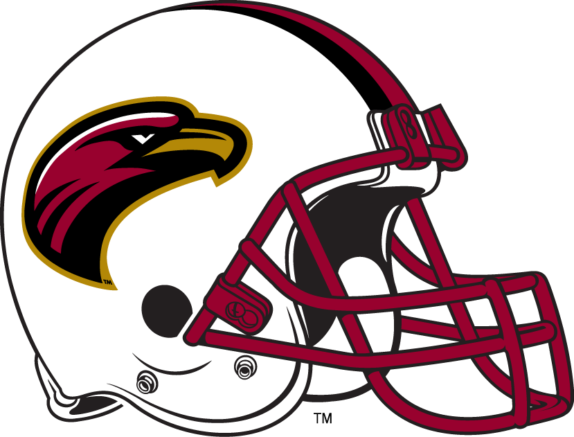 Louisiana-Monroe Warhawks 2006-Pres Helmet Logo diy DTF decal sticker